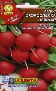 Редис Скороспелка нежная  4-6гр (Аэлита)