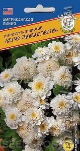 Пиретрум Вегмо Сноубол Экстра  10шт (Престиж)