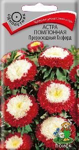 Астра помпонная Превосходный Гасфорд  0,3гр (ПЦц ВВ А)