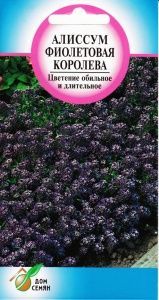 Алиссум Фиолетовая королева  0,3гр/10