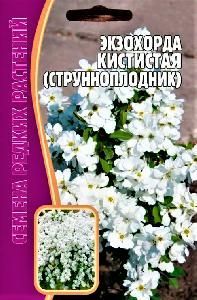 Экзохорда кистистая (струнноплодник)  7шт