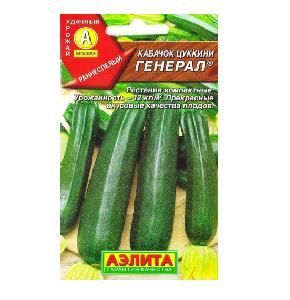 Кабачок Генерал цуккини 1-2гр (Аэлита)
