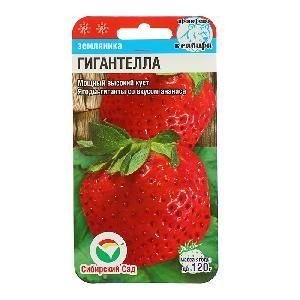 Земляника Гигантелла  10шт (Сибирский сад) 								