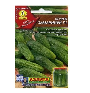 Огурец Замаринуй 10шт (Аэлита)