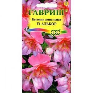 Бегония Алькор F1 гранулы  4шт (Гавриш)