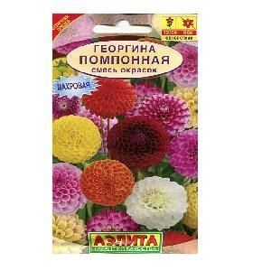 Георгина Помпонная смесь 0,3гр (Аэлита)