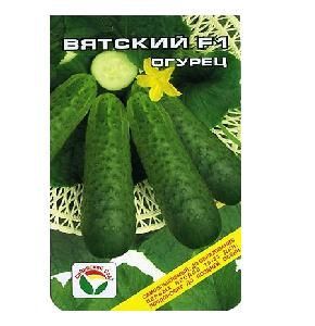Огурец Вятский 7-8шт