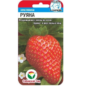 Земляника Руяна 10шт (Сибирский сад)