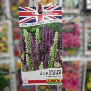 Агастахе Йоркшир смесь (Аэлита)