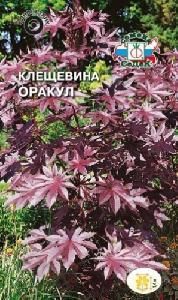 Клещевина Оракул обыкновенная  1гр