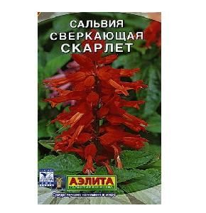 Сальвия Скарлет Сверкающая  0,05-0,1гр (Аэлита)