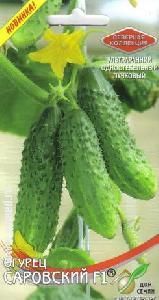 Огурец Саровский F1 6шт (ССов АА)