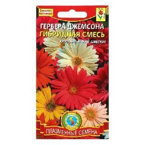 Гербера Джемсона смесь 10шт (ПЦц)