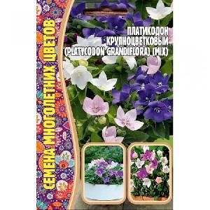 Платикодон крупноцветковый  25шт
