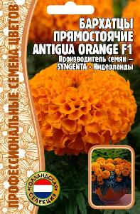 Бархатцы Antigua Orange F1 прямостоячие 5 шт