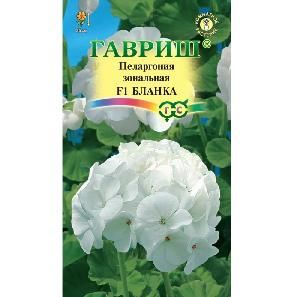 Пеларгония зональная Бланка F1 гранула  4шт (Гавриш)