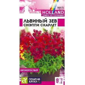 Львиный зев Снэппи Скарлет 7-10шт