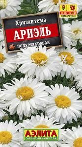 Хризантема Ариэль 0,1гр  (Аэлита)