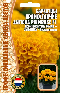 Бархатцы Antigua Primrose прямостоячие F1 5шт