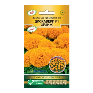Бархатцы Дискавери Оранж 10шт