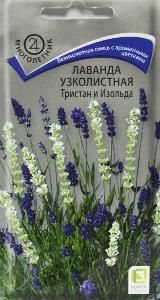 Лаванда Тристан и Изольда узколистная  10шт (ПЦц)