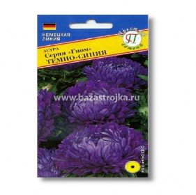 Астра Гном темно-синяя 0,3 гр кит. сер. (Престиж)