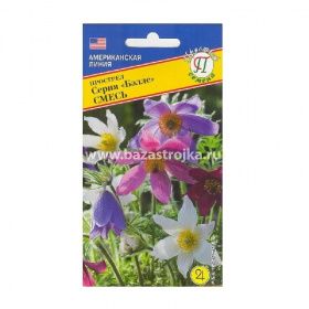 Прострел Беллс смесь  5шт