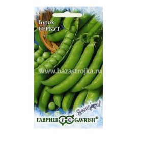 Горох Беркут 10гр (Гавриш)