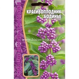 Красивоплодник Бодинье  7шт