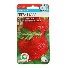 Земляника Гигантелла  10шт (Сибирский сад) 								