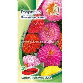 Георгина Клеопатра помпонная микс 0,1г (Престиж)