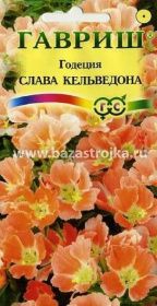 Годеция Слава кельведона 0,05-0,1гр (Гавриш)