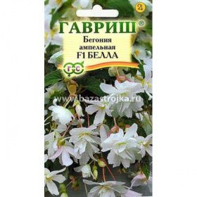 Бегония Белла F1 гранулы  4-5шт (Гавриш)
