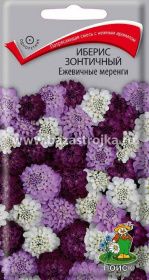 Иберис зонтичный Ежевичные меренги 0,1гр (ПЦц)