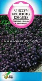 Алиссум Фиолетовая королева 0,3гр (ПЦц)