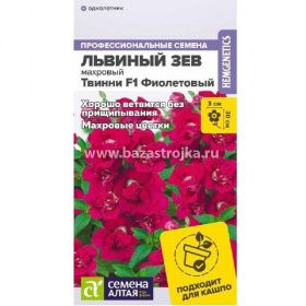 Львиный зев Твинни Фиолетовый махровый 10шт
