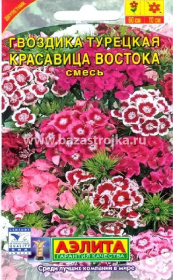Гвоздика Краса востока турецкая 0,2-0,5гр (Аэлита)