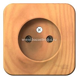 Розетка ОП 1 гнездо б/з ЯСЕНЬ BLANCA