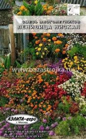Смесь многолетников Ленивица низкая 0,3-0,5гр (Аэлита)