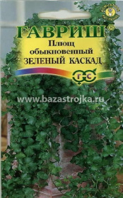 Плющ обыкновенный Зеленый каскад 3шт (Гавриш)