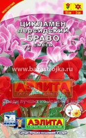 Цикламен Браво персидский смесь 3шт (Аэлита)