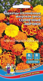 Бархатцы Солнечные Зайчики отклоненные - махровая смесь  0,2гр