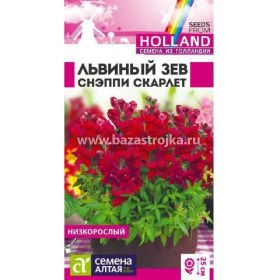 Львиный зев Снэппи Скарлет 7-10шт