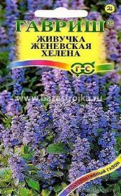 Живучка женевская Хелена 0,02гр (Гавриш)