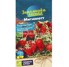 Земляника Мигнонетт ремонтантная 8шт