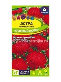 Астра Красный ковер низкорослая 0,2гр