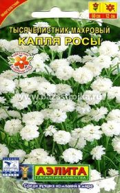 Тысячелистник Капля росы махровый 0,1гр (Аэлита)