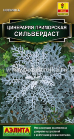 Цинерария приморская Сильвердаст  4 гр