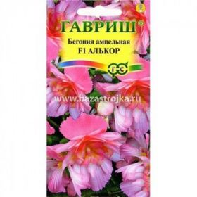Бегония Алькор F1 гранулы 4шт (Гавриш)