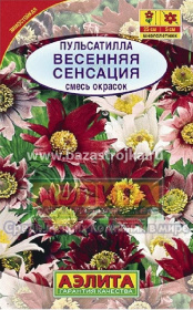 Пульсатилла Весенняя сенсация 10шт (Аэлита)